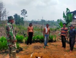 Bahaya Karhutla Dan Akan Ada Sangsi Bagi Yang Bakar Hutan Dimusim Kemarau