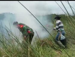 Kebakaran Lahan Di Desa Banjar Sari Pulau Enggano Berhasil Di Padamkan