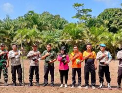 Pemdes Suka Marga Launching Ketahanan Pangan Penanaman Jagung