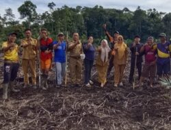 Pemdes Datar Lebar Tanam Jagung Untuk Dukung Program Ketahanan Pangan Pemerintah Pusat