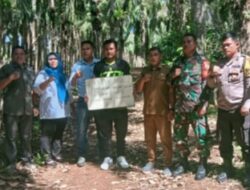 Pemdes Tebing Kandang Kecamatan Air Napal Rampung kan Pembangunan Jalan Usaha Tani Tahun 2025