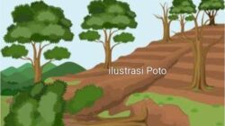 Oknum Mantan Kades Taba Kelintang Diduga Serobot Tanah Milik warga Diwilayah Desa Suka Makmur