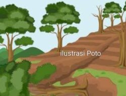 Oknum Mantan Kades Taba Kelintang Diduga Serobot Tanah Milik warga Diwilayah Desa Suka Makmur