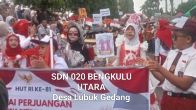 Pawai Bukan Sekedar Pernak-pernik Warna Yang Berbaris Ada Pesan Tersimpan Didalamnya 🇮🇩